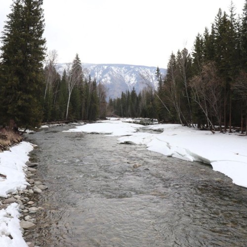 По озёрам, горам и степям с комфортом: 4 дня на Алтае