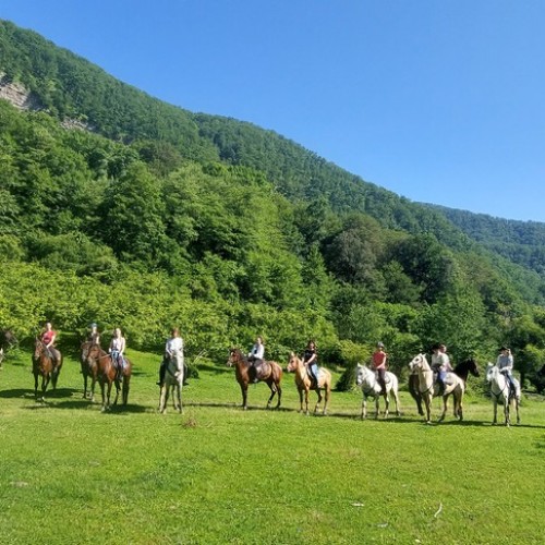 Приключения на лошадях в Сочи для новичков и опытных: по ущельям, долинам и лесам