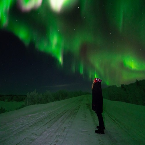 Экспресс-тур по Арктике в мини-группе: Териберка, северное сияние, гастрономия, хаски и олени