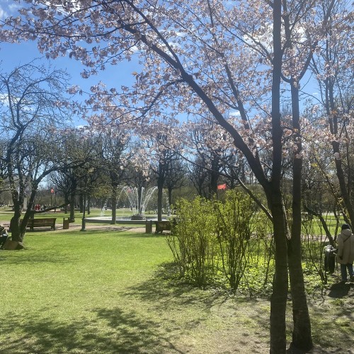 Смольный собор и Институт благородных девиц