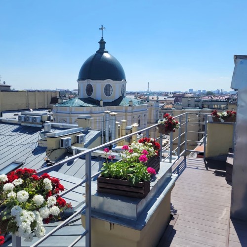 По Питеру — нескучно! Обзорная экскурсия и подъём на крышу