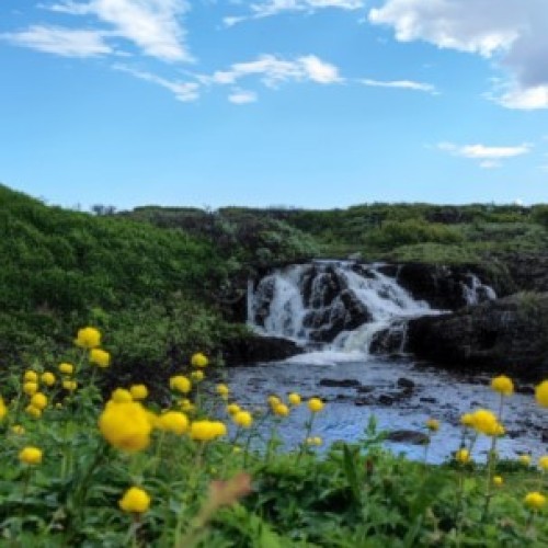 На самый-самый север: автопутешествие по Рыбачьему и Среднему