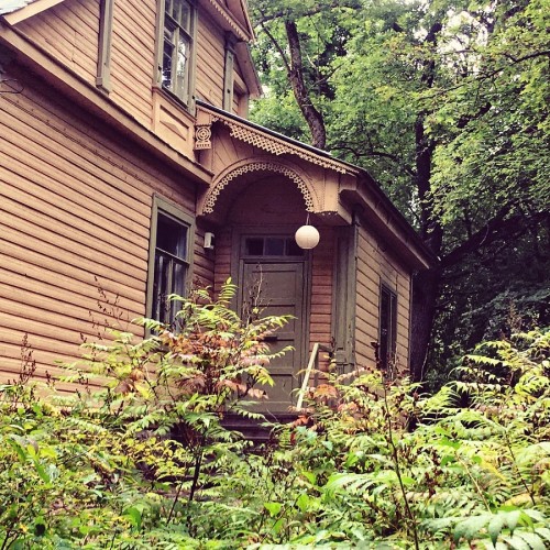 Оллинпяя — заповедник старинных дач