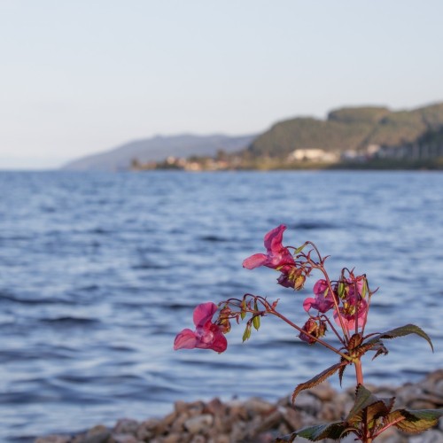 К южному берегу Байкала через Приморский хребет: перезагрузка в мини-группе