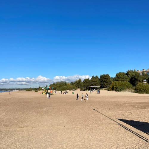 Из Петербурга в Комарово: обитель муз и гениев (в уютной мини группе)