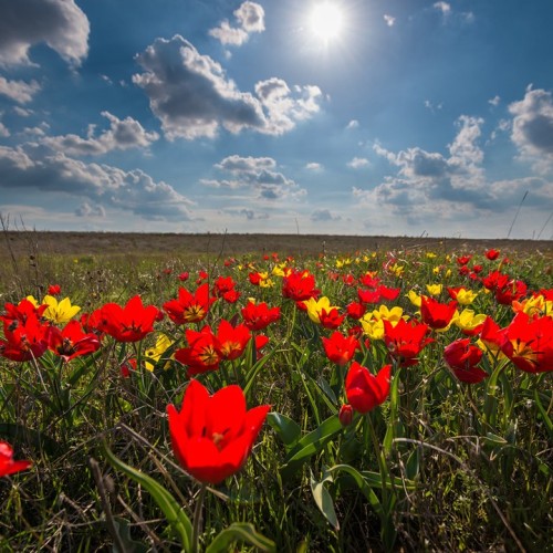 Почти на Марсе и Луне: тур к соляным озёрам Эльтон и Баскунчак