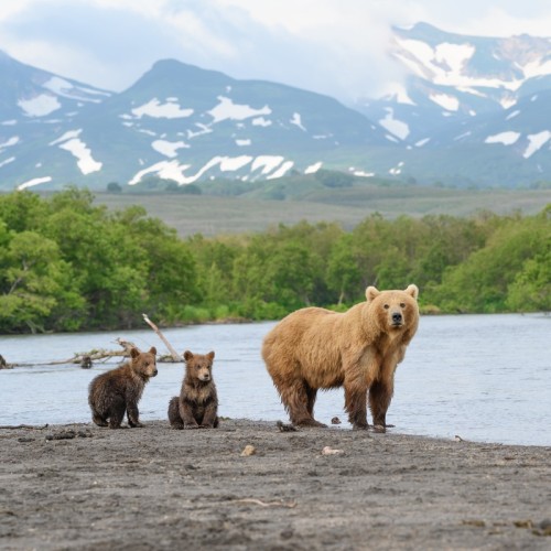 На Камчатку с вулканологом: VIP-экспедиция с прогулкой на вертолёте, рыбалкой, баней и деликатесами