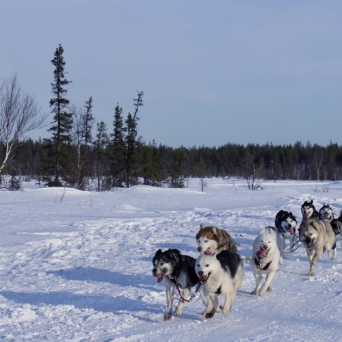 Главные локации и гастровпечатления Заполярья: тур в мини-группе по Мурманску и Териберке