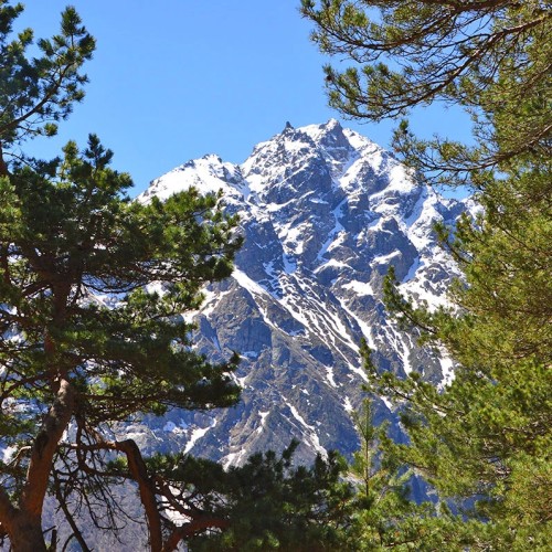 Треккинг в Цейском ущелье налегке с проживанием в гостинице (всё включено)