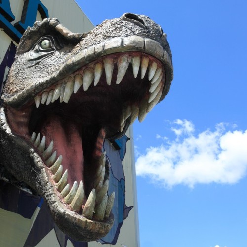 Многогранная Монголия и день в Улан-Удэ