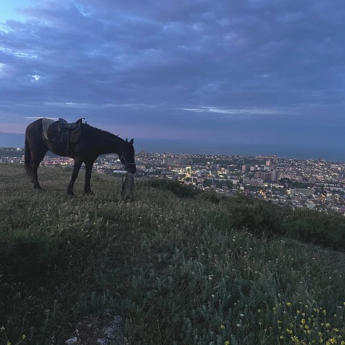 Конные прогулки в окрестностях Махачкалы