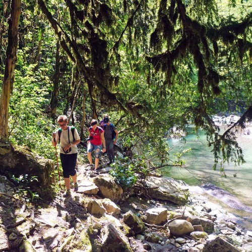 Лёгкий треккинг в субтропиках с проживанием в гостинице в Адлере