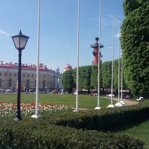 Обзорная экскурсия по Петербургу. Ансамбль Биржевой площади