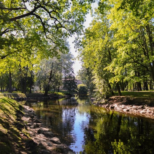 Аптекарский и Каменный острова на авто: особняки, дачи и респектабельные кварталы