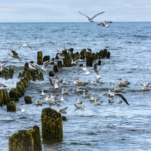 Тур в Калининград и область с ночью в замке и традиционными ужинами