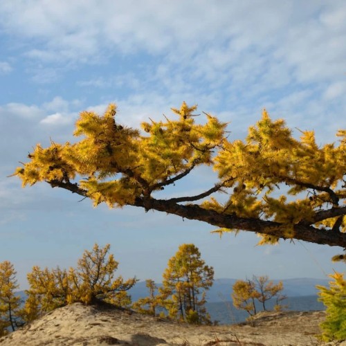 Свидание с Байкалом: Малое Море, Ольхон и экскурсии на выбор