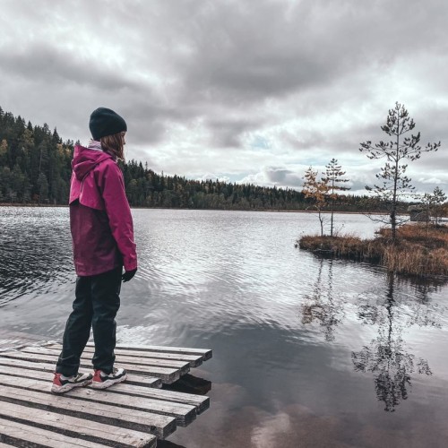Детокс в Карелии: место силы, дары леса и походная романтика (всё включено)