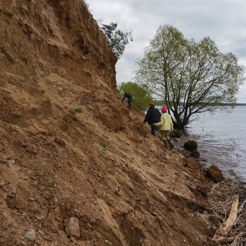 За окаменелостями музейного уровня в Ярославскую область с палеонтологом