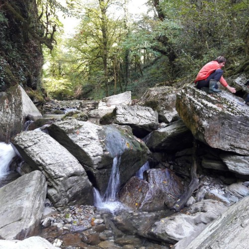 На лошадях по предгорьям Сочи: прогулки для новичков и опытных всадников