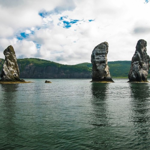 В гости к сивучам: морское путешествие к мысу Кекурный