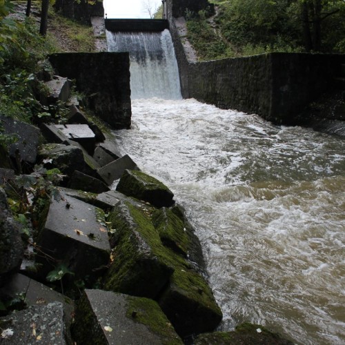 Экскурсия по прекрасной Стрельне