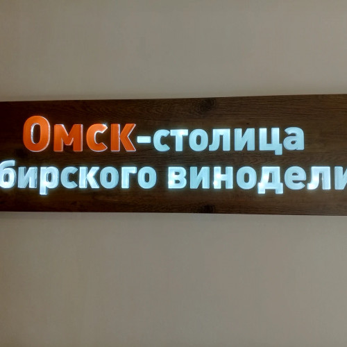 Обзорная экскурсия по Омску на автомобиле