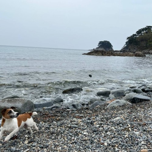 Гастрономическое путешествие в русский Сан-Франциско