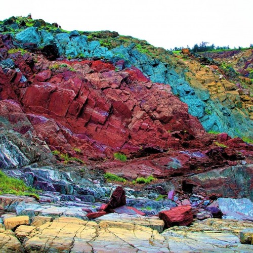 Навстречу гренландским китам: экспедиция к Шантарским островам с лекциями биологов