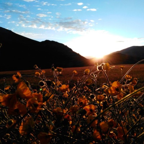 Высокогорный треккинг вокруг Эльбруса в Джилы-Су с проживанием в палатках