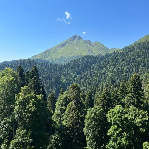 Индивидуальная поездка 3 в 1: Сочи, 3 горнолыжных курорта и главные локации Абхазии