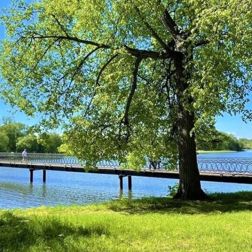 На цветение сирени в Липецкую область из Москвы: Богородицк, Елец и природа