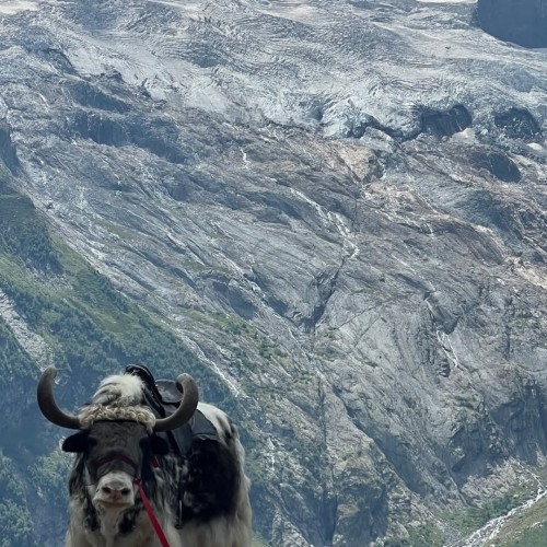 Выходные на Домбае в мини-группе: Гум-Баши, Эльбрус, Мусса-Ачитара, озеро Туманлы-Кёль