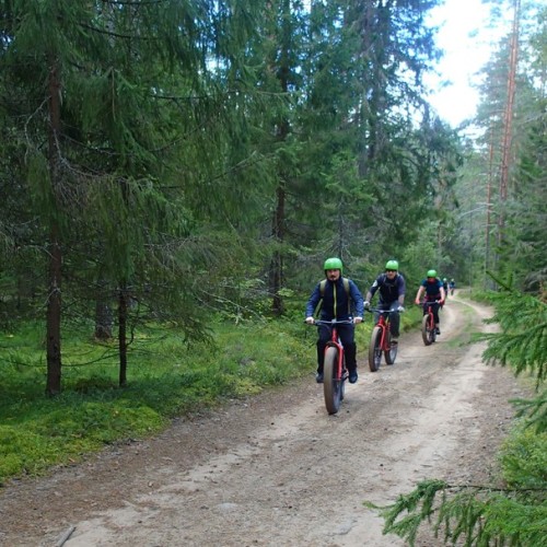 На «железном коне» по Карелии: велопрогулки по природным достопримечательностям