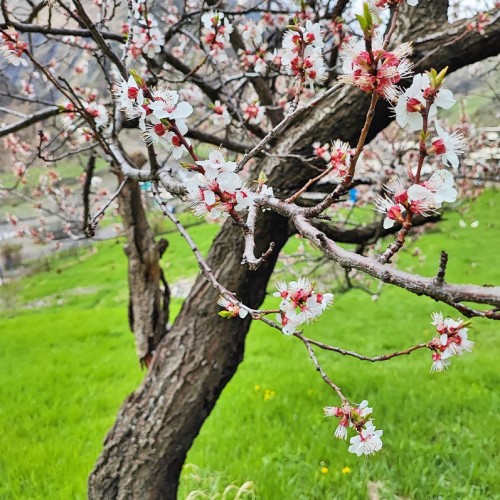 Выше облаков на 3760 метров на гору Шалбуздаг: треккинг налегке с проживанием в гостинице