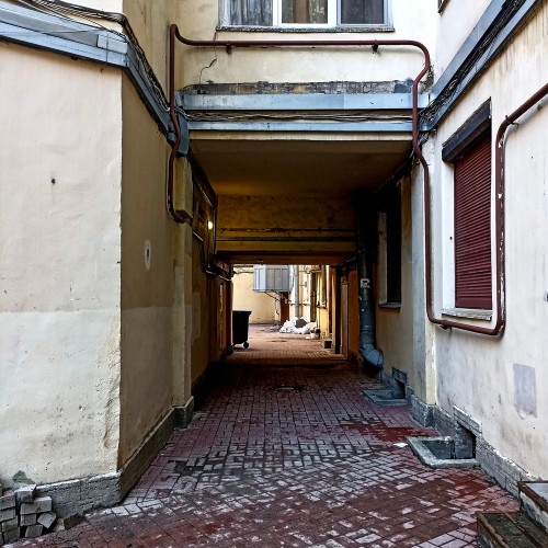 За фасадом: тайные уголки Петроградской стороны