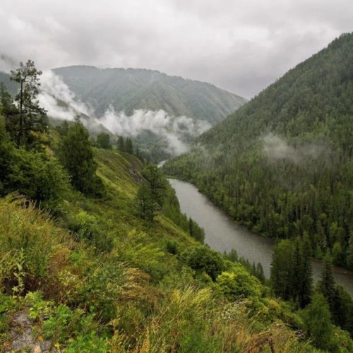 Бороздим просторы Алтая верхом: активный тур для опытных всадников с фотосъёмкой