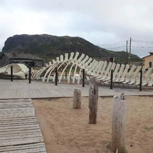 Индивидуально по Заполярью: Териберка, Мурманск и Ура-Губа