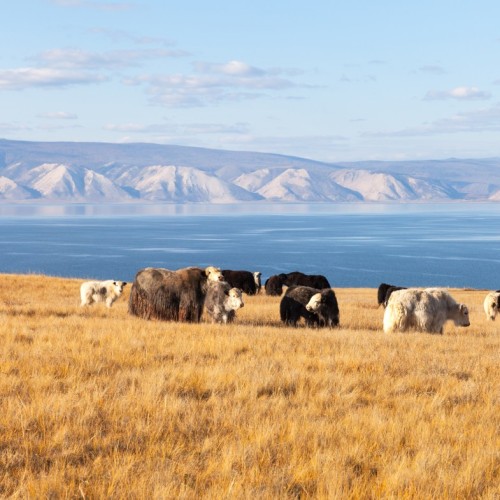 Тёплый отпуск на Байкале: Тажераны и Ольхон в мини-группе