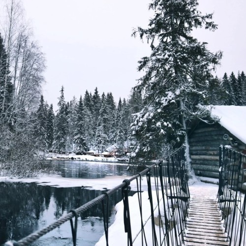 Дом у озера: отдых на берегу Ладоги и экскурсии