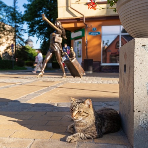 Своей компанией от Балтийска до Куршской косы с прогулками по Калининграду