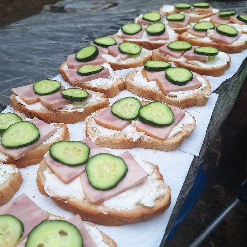 Поход-перезагрузка среди дикой природы Карелии в мини-группе (из Санкт-Петербурга)