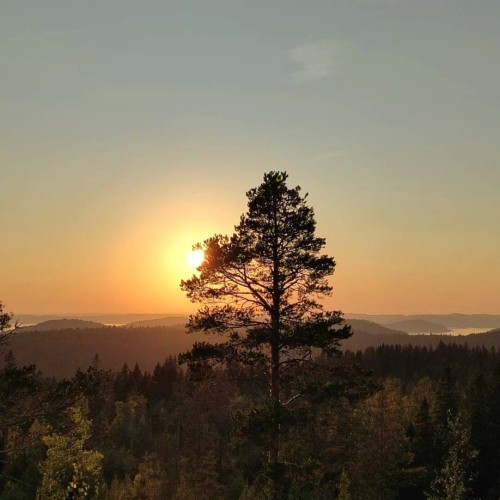 Водная стихия Карелии: от Онеги до Ладоги с проживанием в загородном комплексе