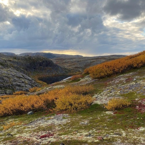 Большое приключение на Кольском в мини-группе: Териберка, корабли и красоты Арктики