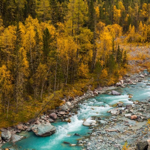 По знаковым местам Алтая с чаепитием у травницы и моторафтингом по Катуни