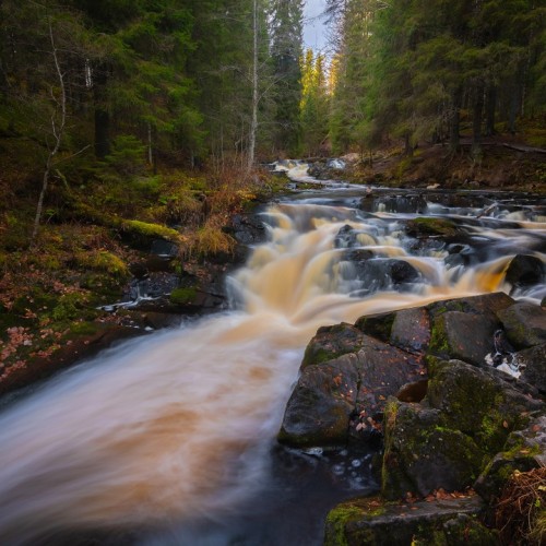Там, где властвует природа: индивидуально в Карелию с гидом-фотографом