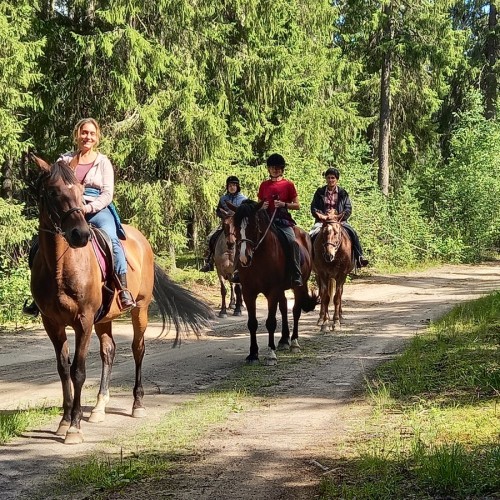 Прогулка на лошадях и визит к северным оленям