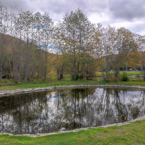 Индивидуально по Камчатке на джипе: столица, топовые локации, вкусы