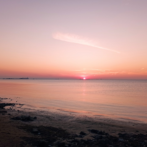 Пролетарский Петербург: Кировский район и Канонерский остров