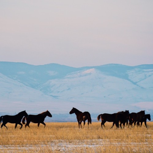 Восточное побережье Байкала: бурятские вкусности, Баргузинская долина и Чивыркуйский залив