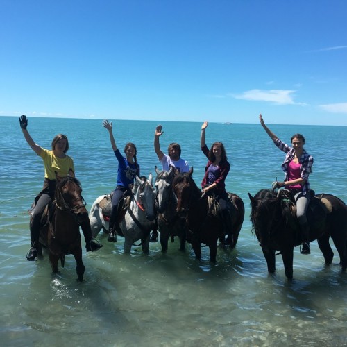 Конные прогулки для уверенных всадников: горы, море, чайные плантации и реликтовые леса Сочи